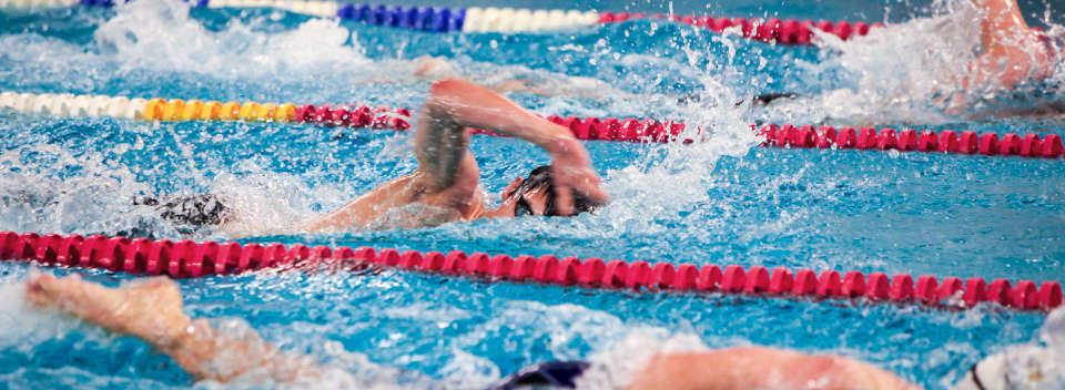 Image 2 - Communauté Mâconnais Tournugeois