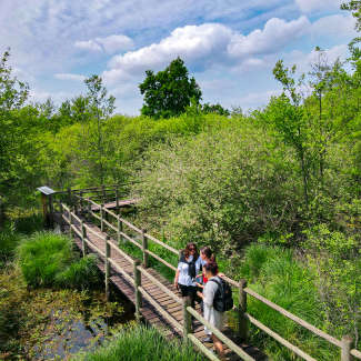 Photo 1 - Communauté Mâconnais Tournugeois
